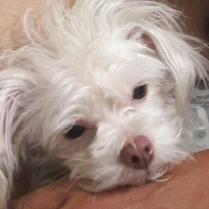 Meet your Posher, Erika